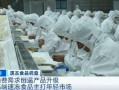 速冻食品工厂爆料案例视频,真实爆料案例视频深度解析