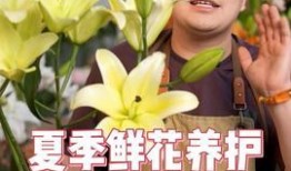 今日头条花卉爆料,花卉界的最新潮流与趋势