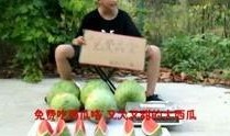搞笑娱乐吃瓜视频大全集,带你领略欢乐无限