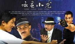 咏春小龙在线观看,在线领略正宗国术风采