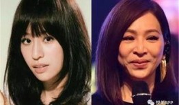 香港娱乐节目爆料整容,明星整容真相大揭秘！