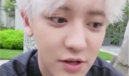 朴灿烈朋友爆料了吗视频,独家爆料视频背后的故事