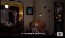 电影房子在线观看,揭秘现代都市生活背后的温情与挑战