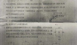 博主爆料米娜最新消息是真的吗,米娜最新消息真实性揭秘