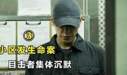 沉默的目击者在线观看,沉默的目击者在线观看全解析