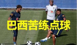 克罗地亚vs巴西爆料视频,精彩瞬间回顾