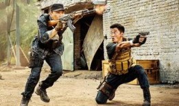 战狼免费高清在线观看,热血沸腾的军事动作盛宴