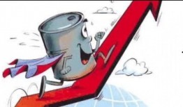 最新油价爆料新闻视频下载,视频揭秘市场动态与未来走势