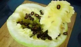 免费请人吃籽瓜是真的吗,揭秘免费请人吃籽瓜的真实性