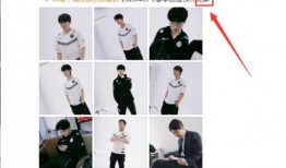 圈内人爆料可靠吗是真的吗,可信度揭秘，真相究竟如何？