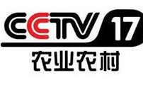 cctv在线观看,畅享海量精彩内容，尽在指尖