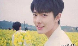 娱乐圈吃瓜cp博君一肖