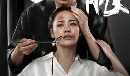 电影河豚在线观看,一场生死边缘的美食冒险