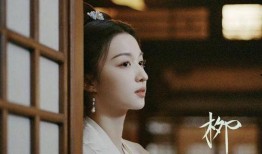 刘大锤爆料王楚然视频,事件背后真相揭秘