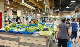 河南菜市场爆料新闻事件,真相揭秘，引关注