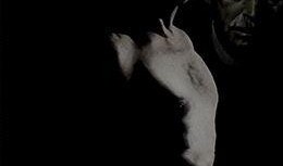 秘爱在线观看,一场跨越时空的浪漫邂逅