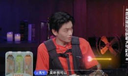 娱乐大爆料丁禹兮,娱乐大爆料中的璀璨新星