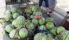 汾阳吃瓜最新事件爆料视频,最新爆料视频揭秘惊人内幕