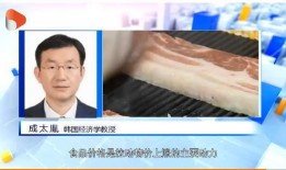 央视财经新闻爆料视频,视频爆料背后的惊人内幕