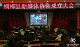 桐梓媒体爆料最新消息,揭秘重大事件背后真相！