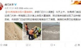 龙湖职场爆料视频曝光,揭秘职场内幕与真实面貌