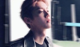 吃瓜娱乐鹿晗完整版