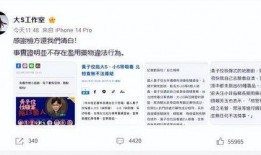 吴宗宪爆料大小s视频在线观看,揭秘事件背后真相