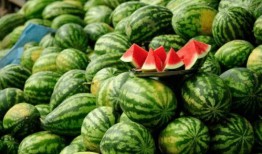 2021年网红吃瓜列表