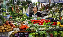 河南菜市场爆料新闻事件,真相揭秘，引关注