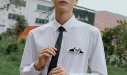 龚俊张先生最新爆料,揭秘娱乐圈不为人知的秘密