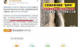 连云港爆料视频大全,揭秘城市生活百态