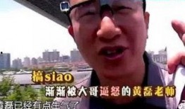 黄磊爆料别人视频大全下载,揭秘热门视频大全下载幕后真相