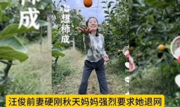 关于秋天妈妈的最新爆料,揭秘明星家庭温馨幕后