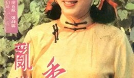 乱世香港全集在线观看,风云变幻中的传奇岁月