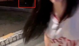 台湾女子爆料视频播放大全,揭秘真实事件背后的真相