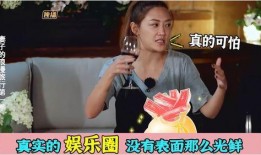 明星爆料真实的娱乐圈,揭秘明星背后的真实故事