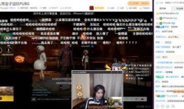 鹏哥爆料金子真假视频播放,金子真假视频播放，揭秘贵金属市场真相