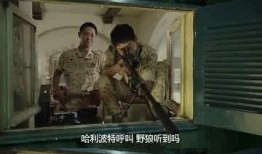 偷窥的后裔在线观看,揭秘隐秘世界的惊悚之旅