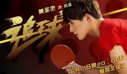 追球在线观看免费观看,追球在线观看攻略