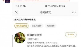 张小寒最新爆料歌手是谁,揭秘神秘歌手身份