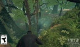 最新先祖爆料视频,探寻历史真相的全新视角