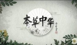 本草中国 在线观看,探寻中华医药瑰宝之旅