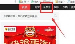 珠海爆料哥今日头条号,今日头条号热点事件深度解析