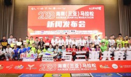 三亚新闻爆料电话,揭秘城市脉搏的“耳目”