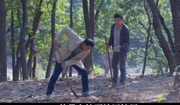 别在森林里在线观看,别在森林里在线观看之旅