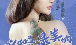 美女与极品导演爆料视频,揭秘美女与极品导演背后的激情故事