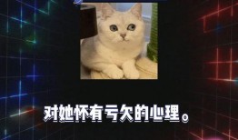 娱乐八卦开心吃瓜视频,开心吃瓜，揭秘明星幕后故事