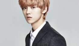 吃瓜娱乐鹿晗完整版