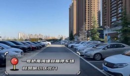 停车场最新爆料信息,智慧停车时代来临，便捷体验即将升级