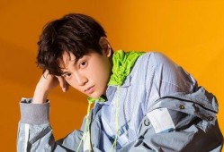 娱乐大爆料丁禹兮,娱乐大爆料中的璀璨新星